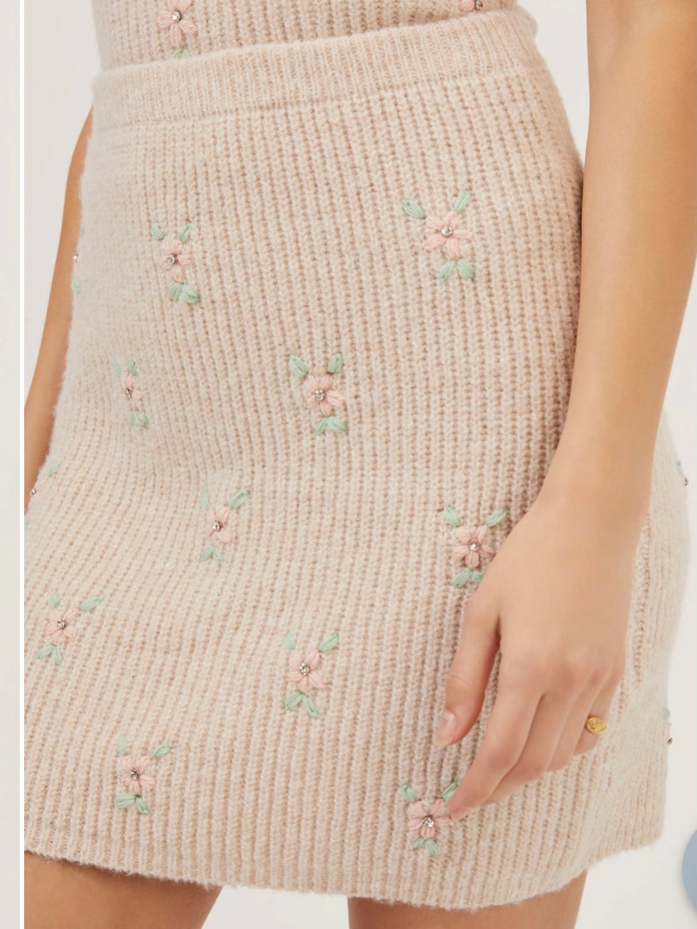 ASTR Tea Party Floral Embroidered Knit Mini Skirt in Blush Flower