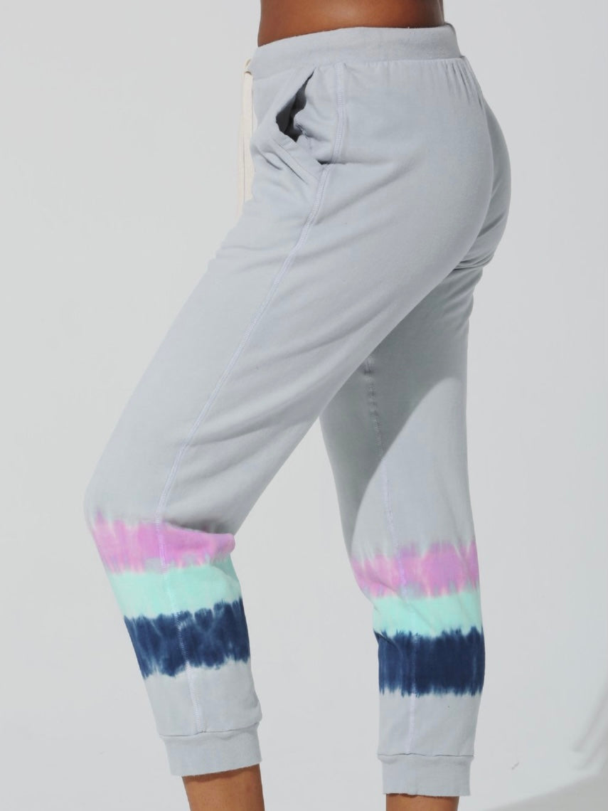 Electric & Rose Abbot Kinney Sweatpant in Thunder / Multi